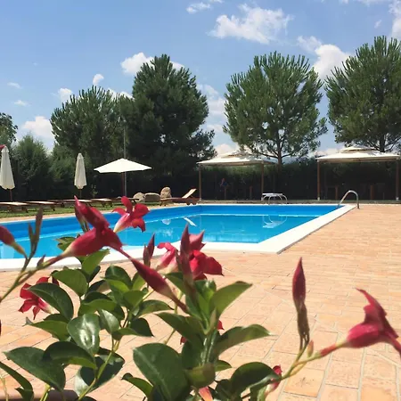 Couette-café Piero Bisignano